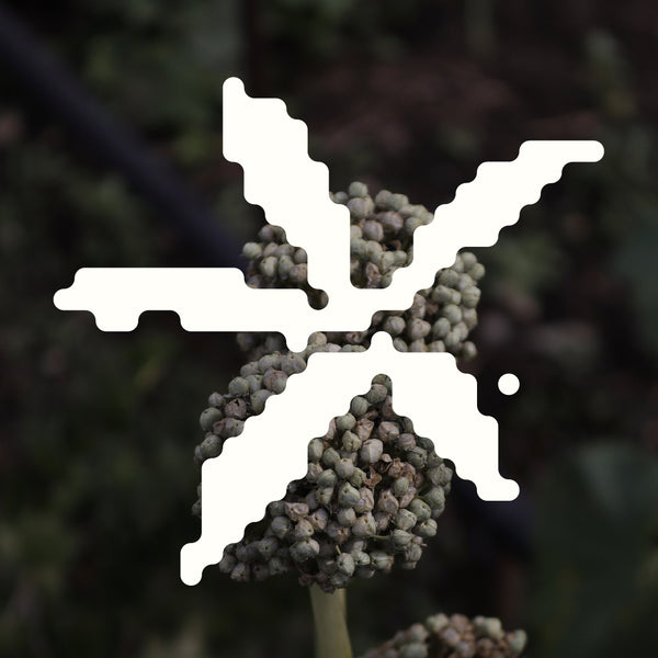 We tried the best eyelash growth serums to see if they actually work