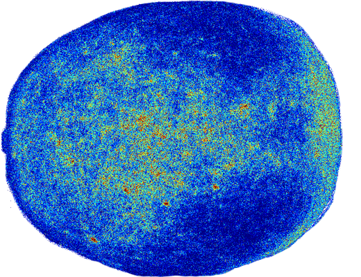 Laser perfusion image before HotFlux application