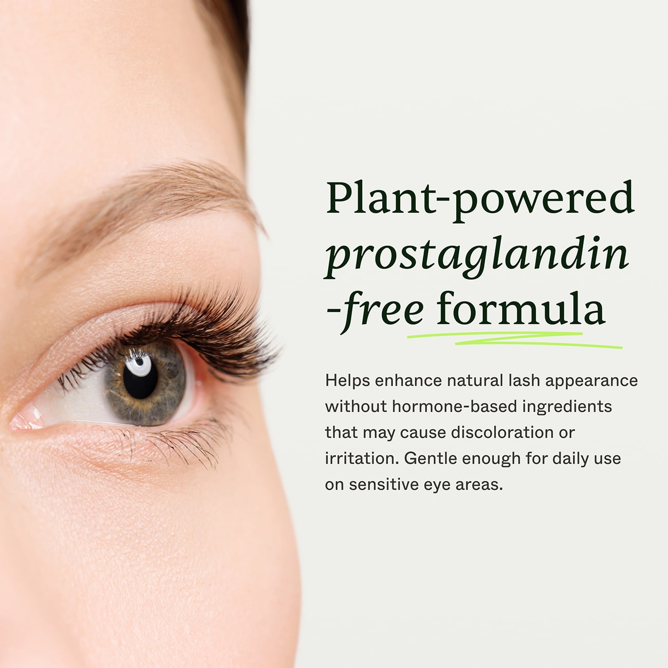 Eyelash Growth Serum | Scandinavian Biolabs – Scandinavianbiolabs.com